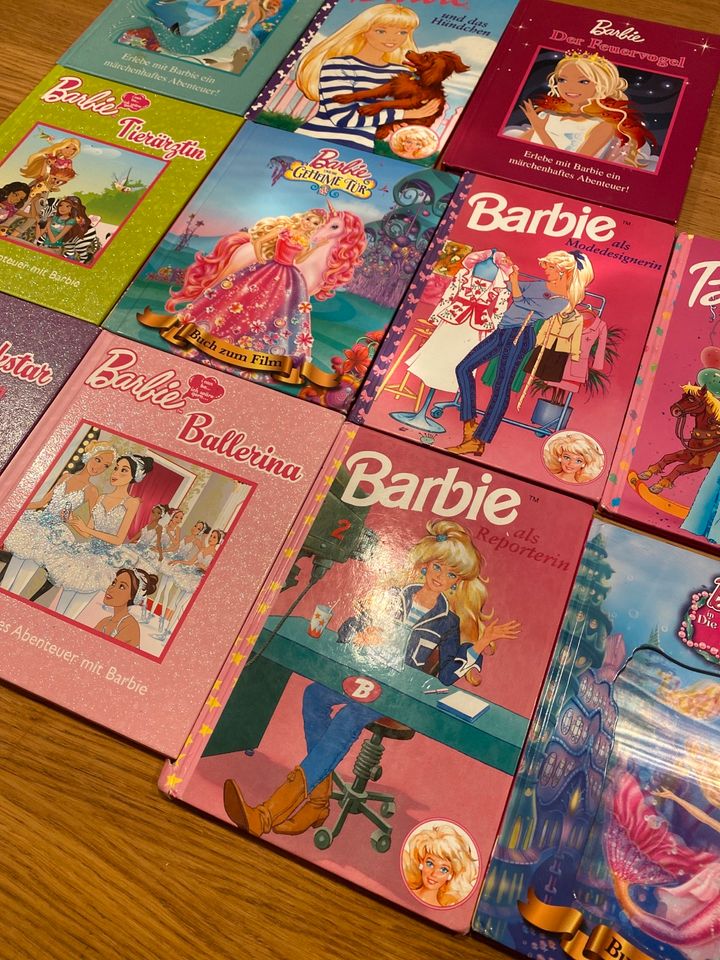11 Barbie Bücher zus. 10€ Meerjungfrau Ballerina Rockstar Shelly in Schleiden