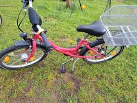 Mädchen Fahrrad 20" Zündapp Yellow 2.0 Müritz - Landkreis - Malchow Vorschau