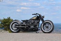 Harley Davidson Softail Springer Bobber Custom Bayern - Wernberg-Köblitz Vorschau