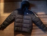 Adidas Übergangsjacke L Bayern - Altomünster Vorschau