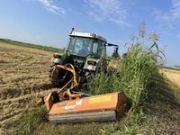 Berti Mulcher / Berti Forstmulcher / Berti Kreiselegge Sachsen - Brand-Erbisdorf Vorschau