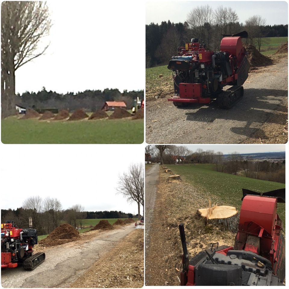 Stockfräsen, Wurzelstockfräsen, Baumstumpf entfernen in Schongau