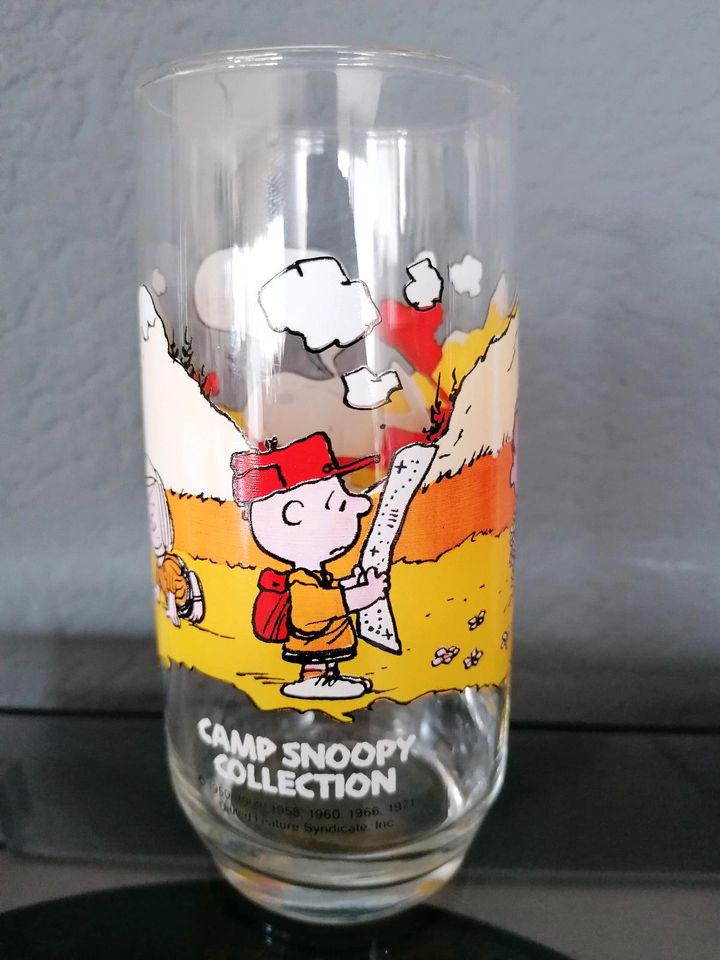 Snoopy, Charly Brown, Peanuts Camp. Snoopy Collection Glas in Mainhausen