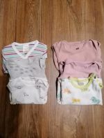 Babykleidung - Baby Kurzarmbodys Bodys 50/56 62/68, H&M, Lupilu Münster (Westfalen) - Mauritz Vorschau