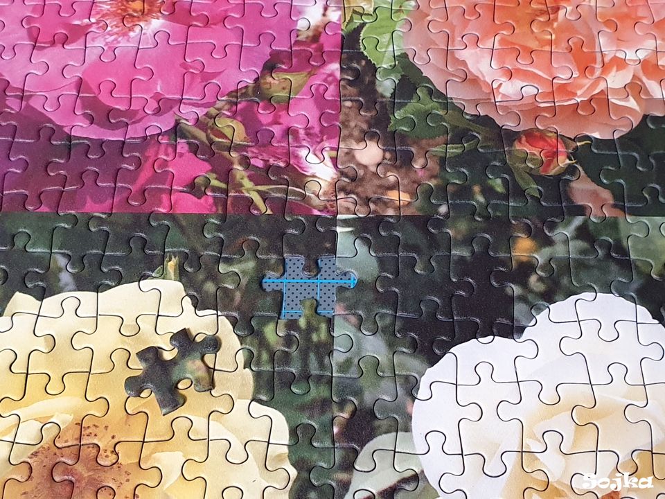 Puzzle 1000 Teile "Roses Collage" in Bassum