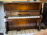 C. Bechstein Klavier Model 8 - 128, Baujahr 1950 Wurzel braun Schleswig-Holstein - Ahrensburg Vorschau
