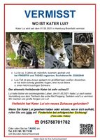 ❤ Katze KATER LUI wird gesucht/vermisst Wandsbek - Hamburg Bramfeld Vorschau