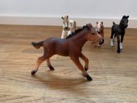 Pferde Pony Fohlen Schleich Köln - Nippes Vorschau