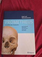 Prometheus altas Kopf neuro Köln - Lindenthal Vorschau