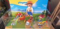 Schaukasten Playmobil 123 Baustelle Noahs Arche Hessen - Kelkheim Vorschau