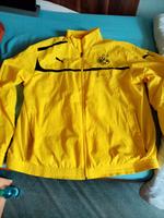 BVB Jacke von Puma Nordrhein-Westfalen - Plettenberg Vorschau
