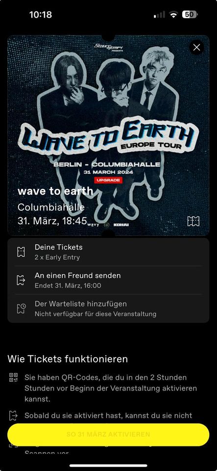 Wave to earth early entry Konzertticket 2x in Stahnsdorf