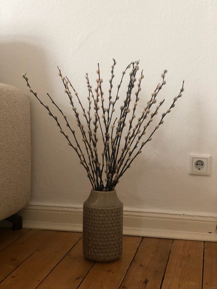 Vase mit Weidenkätzchen in Hamburg