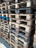 Einwegpaletten 80x120 cm Brennholz zu verschenken Thüringen - Treffurt Vorschau