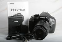 Canon EOS 1100D mit Canon Zoom Lens EF-S 18-55mm III; Paketset! Berlin - Reinickendorf Vorschau