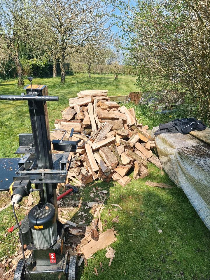 Baumfällung Baumpflege gut & günstig Gartenpflege Heckenschnitt in Elmenhorst/Lichtenhagen