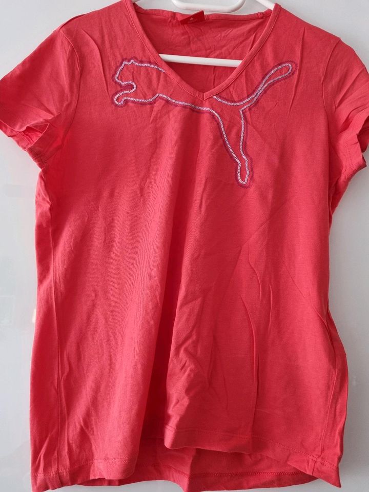 Damen Sommershirt oder Sportshirt von PUMA in Fürstenwalde (Spree)