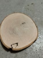 Geschliffene Holzscheiben: 19 cm Durchmesser, 4cm dick Hessen - Lampertheim Vorschau