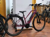 E BIKE RALEIGH KEND 9,RH43CM BOSCH, 65NM  400W ,630KM MJ2022 Nordrhein-Westfalen - Vlotho Vorschau