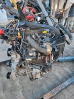 MOTOR M9TC704 RENAULT MASTER 2.3d Nordrhein-Westfalen - Schloß Holte-Stukenbrock Vorschau