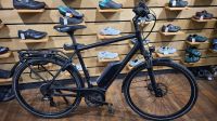 Pegasus Solero E8 Plus E-Bike RH= 58cm/XL Bosch Active Line Plus Motor 400WH Akku Bayern - Bad Grönenbach Vorschau