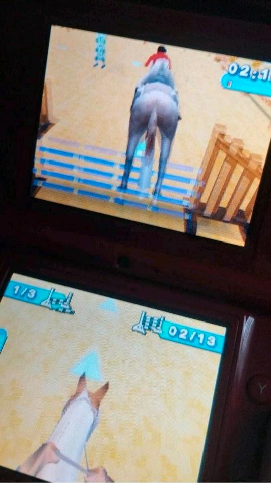 Horsez Abenteuer auf dem Reiterhof (Nintendo DS, 2006) Pferde Spi in Bochum