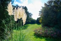 Einzigartiges Parkgrundstück! Unternehmervilla und Weiher auf 12.000m² Fläche! Bayern - Petersdorf Vorschau