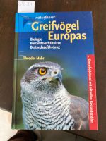 Greifvögel Europas Biologie Bestandsverhältnisse Gefährdung Nordrhein-Westfalen - Vettweiß Vorschau