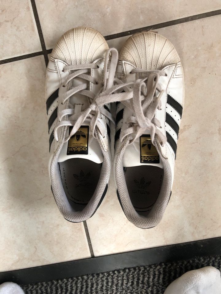 Adidas Superstar zu verkaufen in Handewitt