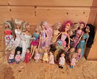 Riesen Barbie Paket 80ger bis heute Baden-Württemberg - Freiamt Vorschau