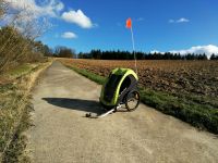 Fahrrad Anhänger Burley minnow, mit Federung *neuwertig* Baden-Württemberg - Billigheim Vorschau