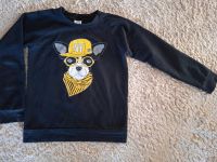 H&M Jungen Pulli schwarz Hund Gr. 140 146 TOP München - Allach-Untermenzing Vorschau