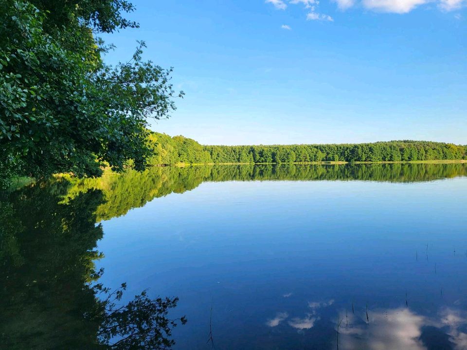 Ferienhaus Ferienwohnung Brandenburg Feldberger Seenlandschaft in Lychen