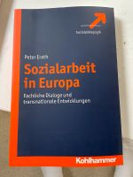 2 x Fachbuch Sozialarbeit in Europa Stuttgart - Sillenbuch Vorschau