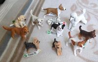 Schleich Hunde 11 Stück unbespielt mit Fähnchen Güstrow - Landkreis - Lüssow Vorschau