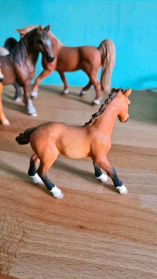 Schleich Tennessee Walker Hengst Stute Fohlen in Nürnberg (Mittelfr)