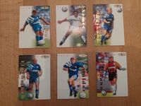 Schalke Sammelkarten Panini - 1996/97 - Thon - Mulder u.a. Kr. Passau - Passau Vorschau