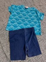 Jungen Sommerset Shorts Tshirt Topomini Gr. 56 Nordrhein-Westfalen - Gladbeck Vorschau