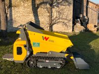 Dumper Minidumper Wacker Neuson DT08 zu vermieten mieten Bayern - Aichach Vorschau