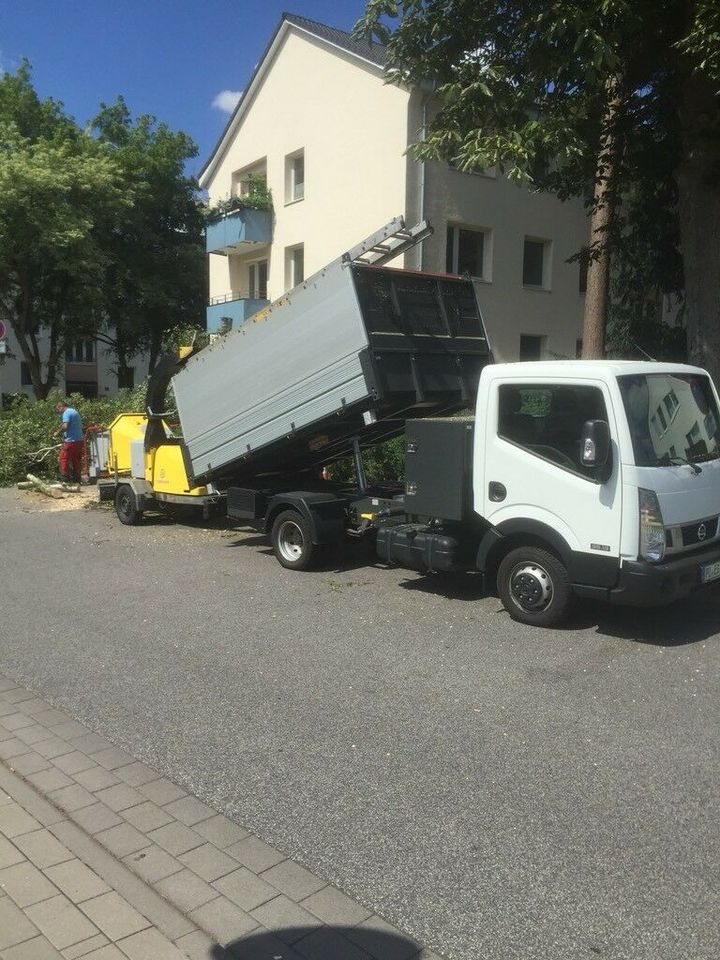 Baumpflege, Fällung inkl. Abt. für Bäume! Ihr Partner rund um! in Seester