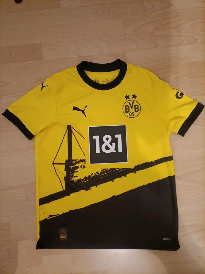 BVB/Borussia Dortmund Trikot in Rhede