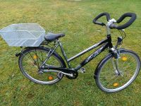 28 Zoll Mädchen/ Damenrad  zu verkaufen Schleswig-Holstein - Sehestedt Vorschau
