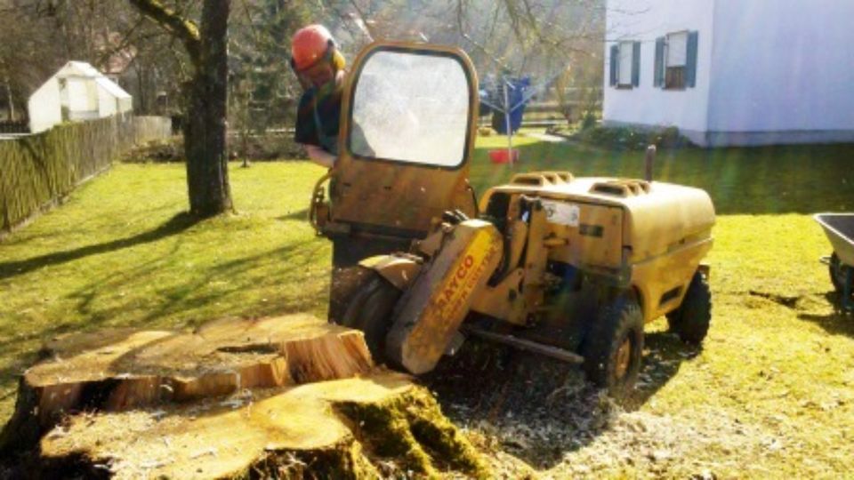 Baumfällung Problembaumfällung Baumstumpf entfernen Wurzelnfräsen in Schondorf am Ammersee