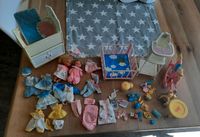 Heart Family Barbie Set aus den 90 ern Schleswig-Holstein - Jörl Vorschau