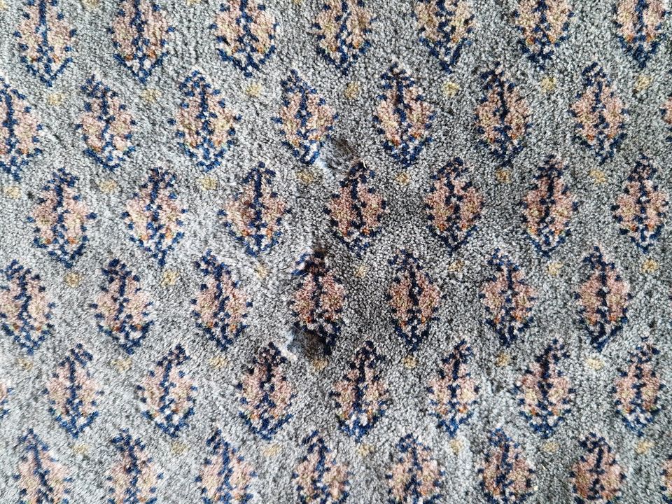 Indo Sarough Mir Orientteppich 2,53 x 3,49m, handgeknüpft, Wolle in Taunusstein
