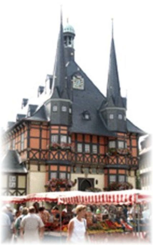 Schöne neue Ferienwohnung mit 3 Schlafzimmern bei Wernigerode in Ilsenburg (Harz)
