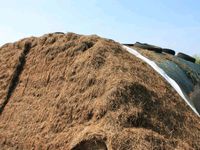 Silage Grassilage Futter Kühe Heu Biogas Bayern - Perlesreut Vorschau