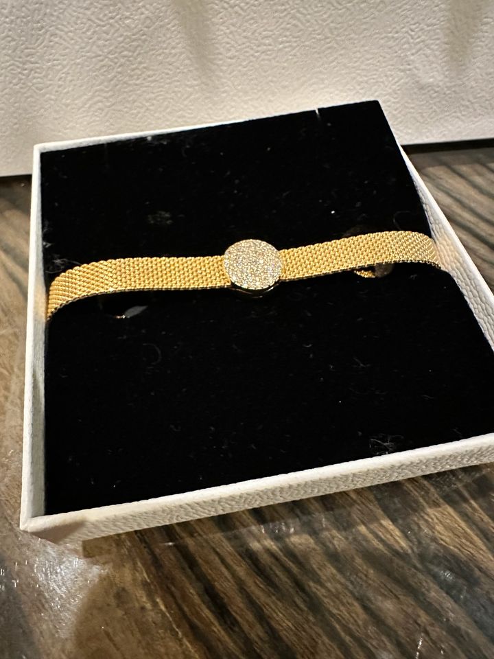 Original Pandora Reflexions Mesh Armband Gold mit Clip in Sachsen-Anhalt -  Unseburg | eBay Kleinanzeigen ist jetzt Kleinanzeigen