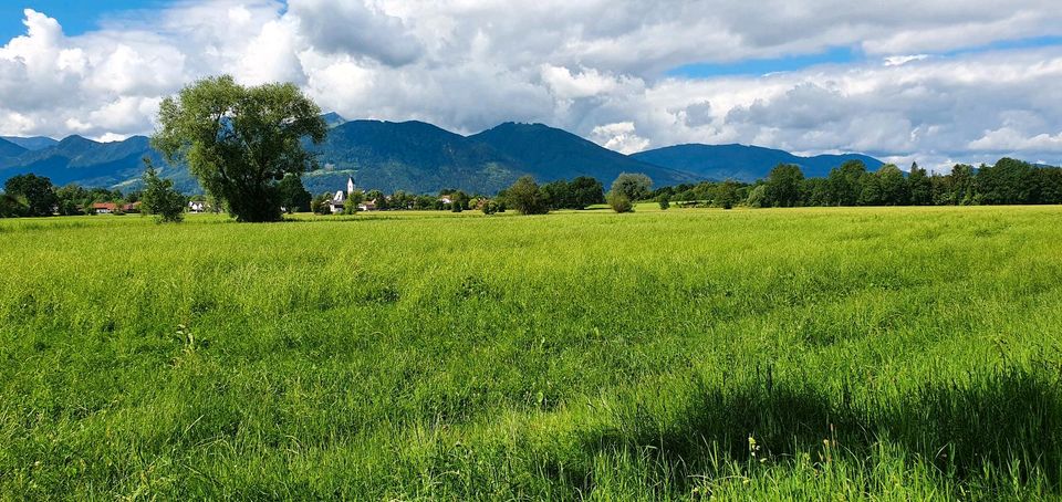 Wir suchen Haus gegen Leibrente in Fraunberg