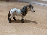 Schleich Falabella Wallach Rheinland-Pfalz - Alpenrod Vorschau